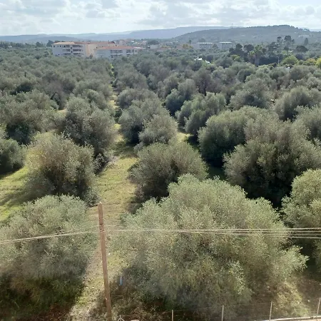 Διαμέρισμα Apt Sardinia Αλγκέρο